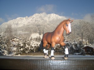 Obrazek